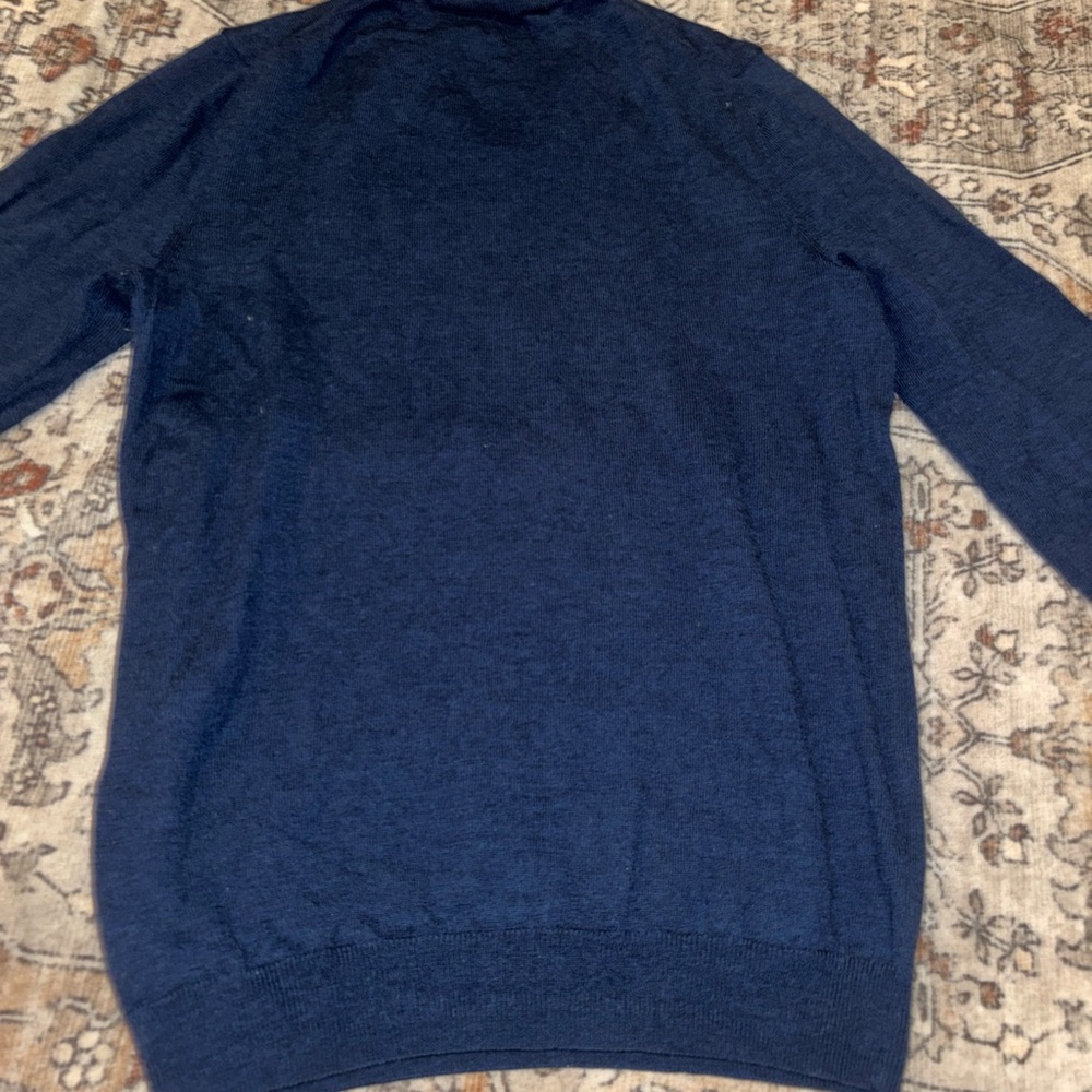 GAP 100% Merino Wool Sweater Mens M Blue Long Sleeve V-Neck Pullover
